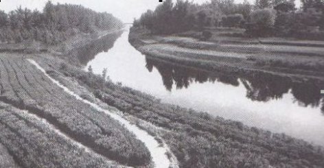 cns_kang_aefd677da7c7a645bb_1.jpg