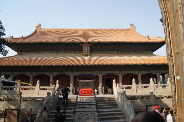 cns_kang_b190f6007e6cf75d3d_1.jpg
