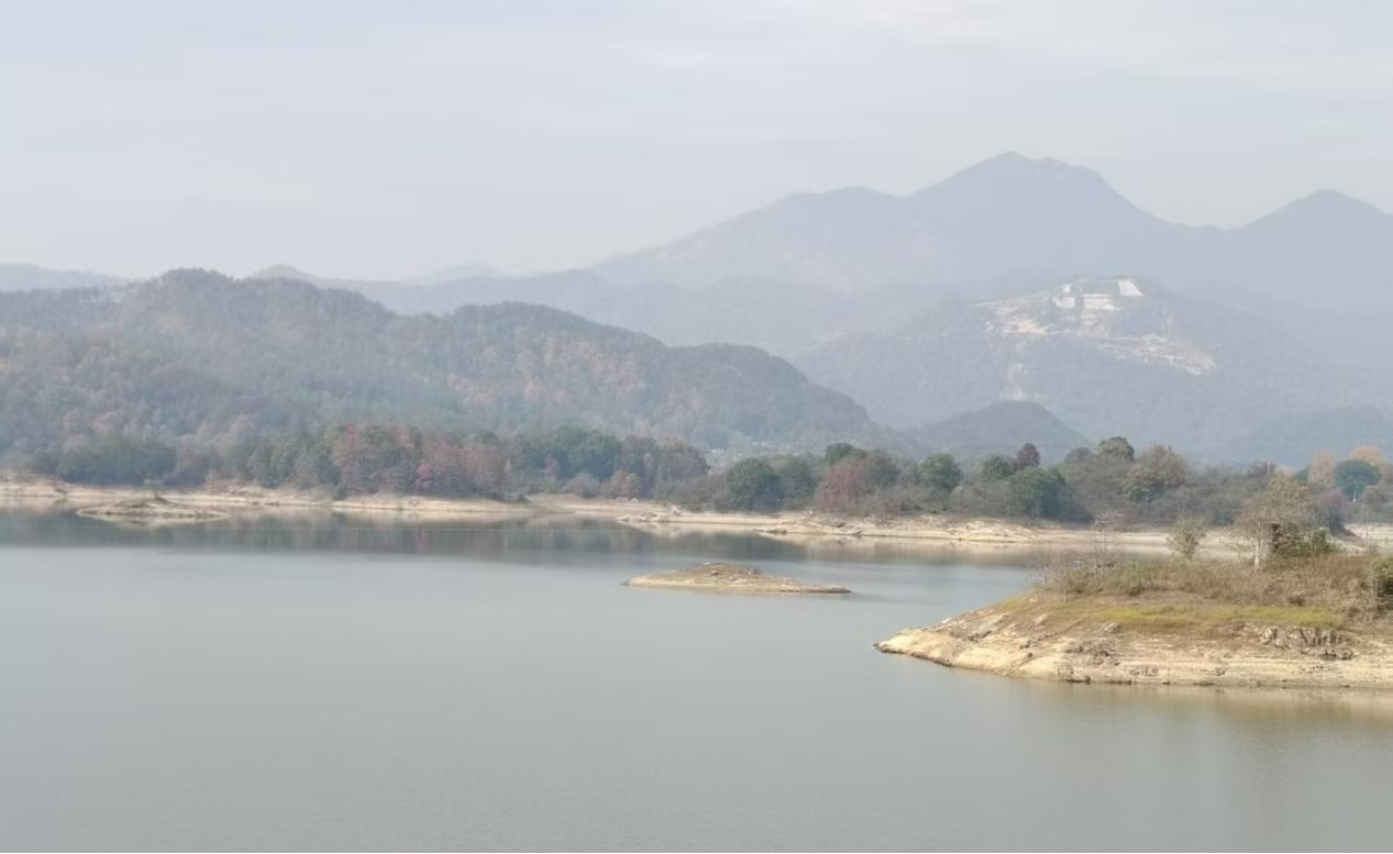 cns_kang_c02262488bf8fb3849_8.png