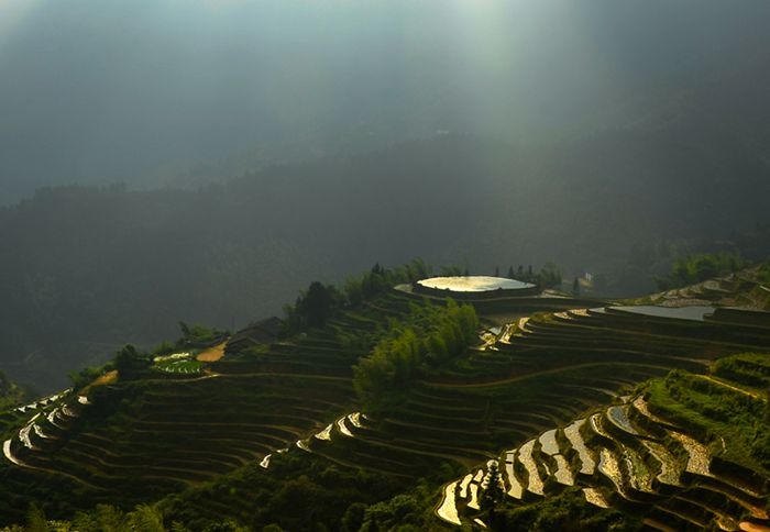 cns_kang_caa0734477c4c5d5e9_0.jpg