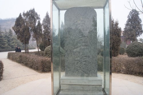 cns_kang_f29084ccbf03105773_5.jpg