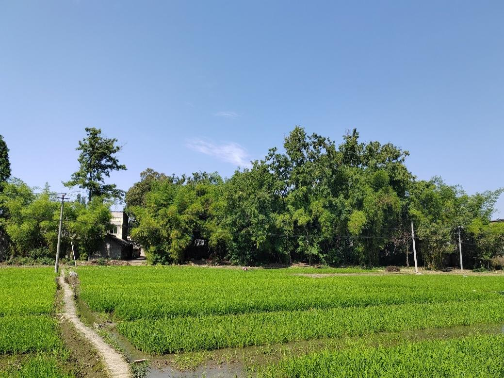 cns_kang_f95f353950773fa03f_4.png
