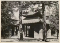 胜迹史料：曲阜.我们孔氏的祖庭.历2500多年.她毅然挺立.让我想起了那句歌词.只要黄河长江水（胜迹史料）.jpg