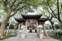2025乙巳年上海清明祭孔大典在嘉定孔庙顺利举行（祭祀纪事）.png
