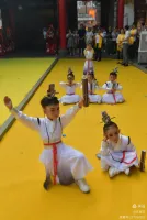 乙巳年温州孔庙公祭释奠礼      孔繁东（祭祀纪事）.webp
