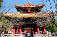 来曲阜，探寻《太平年》里的千年儒风（文化资料）.jpg
