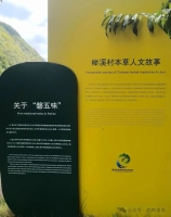 磐安山水藏儒韵      作者:鹤鸣青岚(祥毅)（文化资料）.jpg