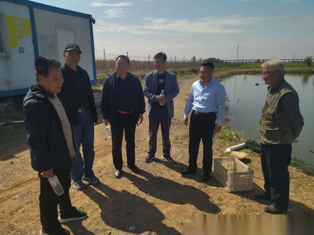 枣庄市孔子后裔联谊会赴滕州西江村调研 共商乡村振兴与文化传承 ...（宗亲纪事）.png