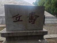 文化资料：驱车沿327国道驶出曲阜城，拐弯向北行五公里，便抵达旧县村。村落东北，青松翠柏掩映之（文化资料）.jpg