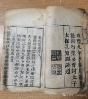 谱牒资料：该残卷高28cm，宽17cm，白棉纸印刷，木刻版，版心20cm*14cm，前后均无封（谱牒资料）.jpg