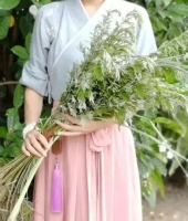 彼采艾兮，一日不见，如三岁兮——最美的艾长在《诗经》里（文化资料）.jpg