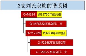 liushi_10170_9_8b9a5722c30f.jpg