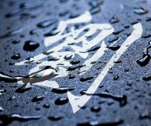 liushi_11574_1_bd0702211bca.jpg