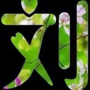 liushi_12789_1_f52f09a31f7f.jpg