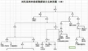 liushi_8201_4_679a78073894.jpg