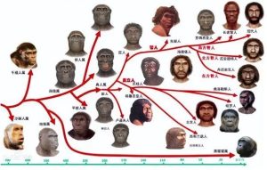 liushi_9378_1_c60c27660f89.jpg