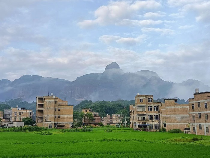 cns_nong_0498197428b93c5480_2.jpg