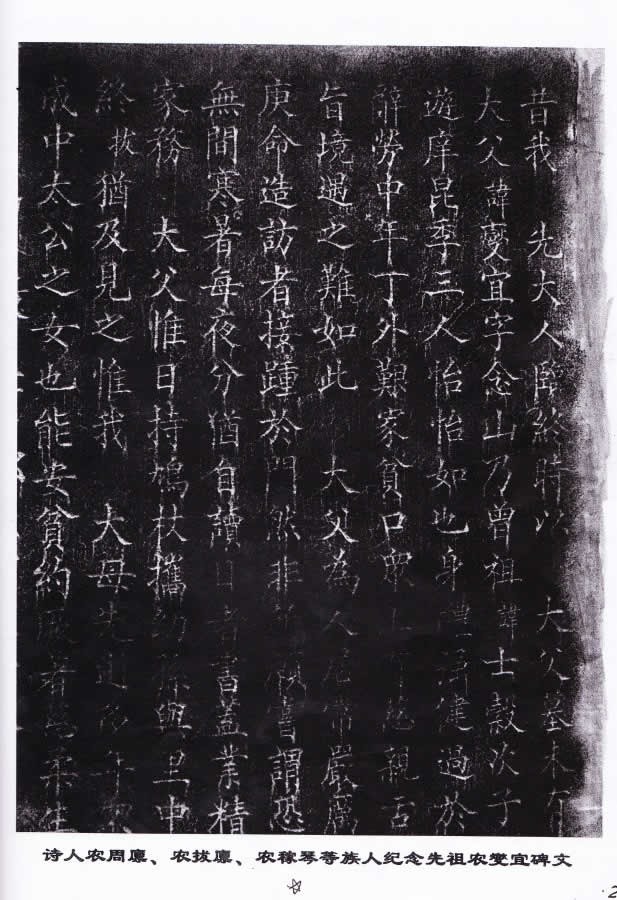 cns_nong_13f0aab69026012d1c_6.jpg
