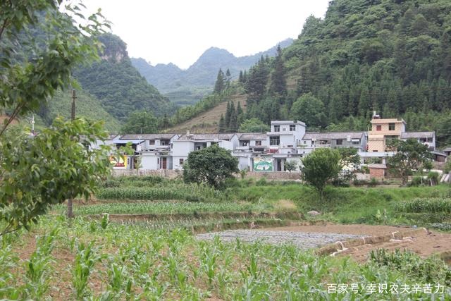 cns_nong_166821c822c895d83c_1.jpg