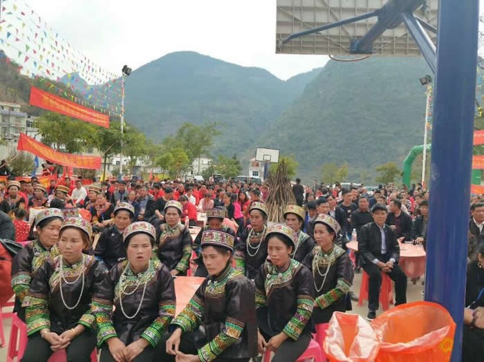 cns_nong_1e2076579e3c450174_16.jpg