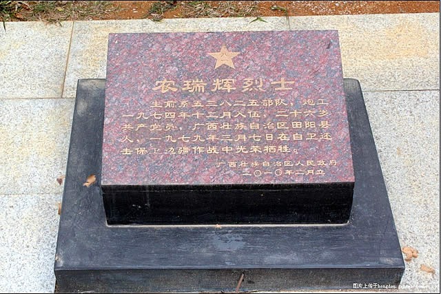 cns_nong_26beac1c909ca23f6b_2.jpg