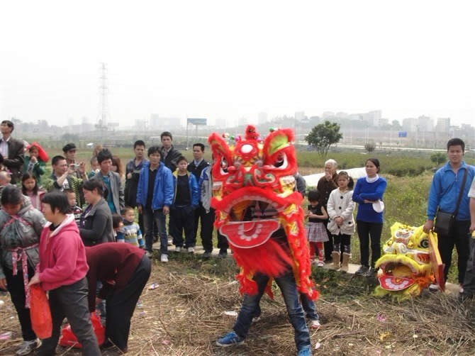 cns_nong_2aee5e6847f6e7a468_3.jpg