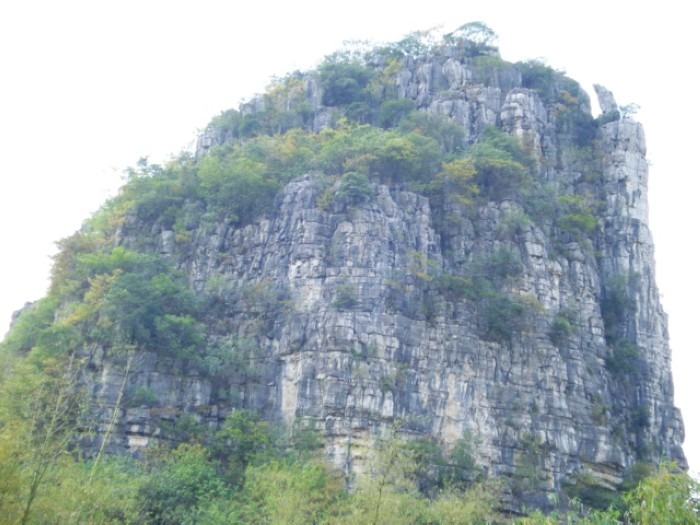 cns_nong_4095a3fbf00ac7831a_12.jpg