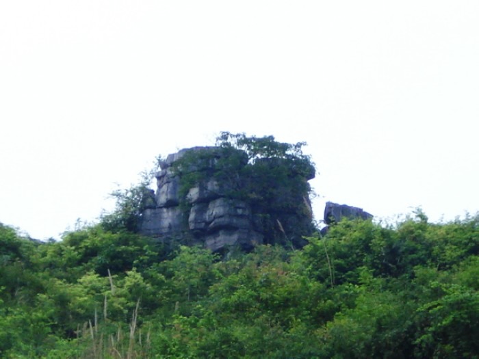 cns_nong_60256f8c2f9f25c847_6.jpg