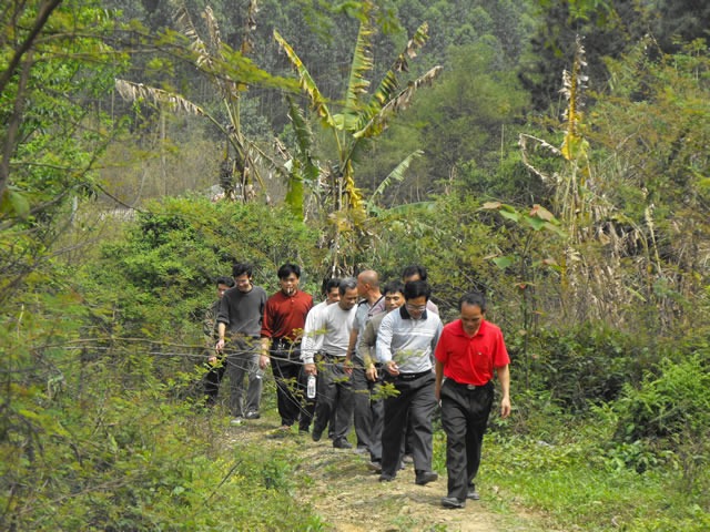 cns_nong_8ae7a0848daceac00e_15.jpg