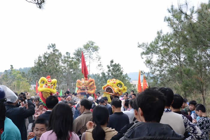 cns_nong_ae21b7ff46ad95176c_6.jpg