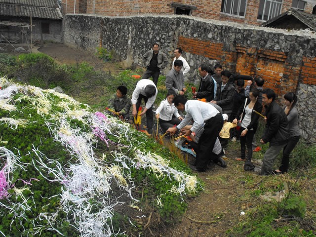 cns_nong_cbcbe9e0056f884c2c_12.jpg