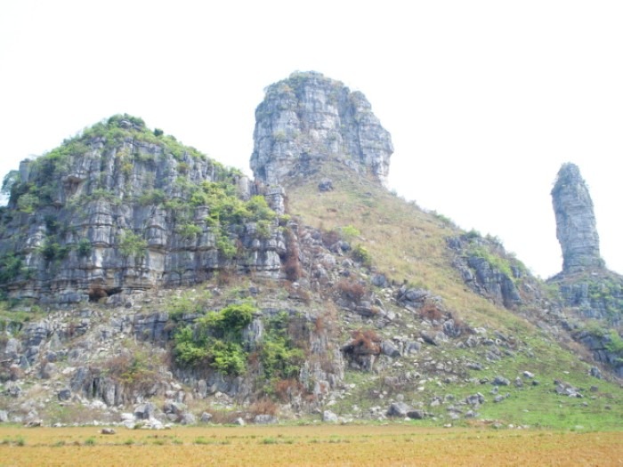 cns_nong_d0e9c5ec080dc2bc2a_2.jpg