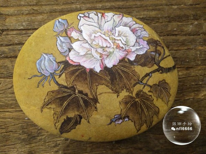cns_nong_d263e9314bf28a3e3b_8.jpg