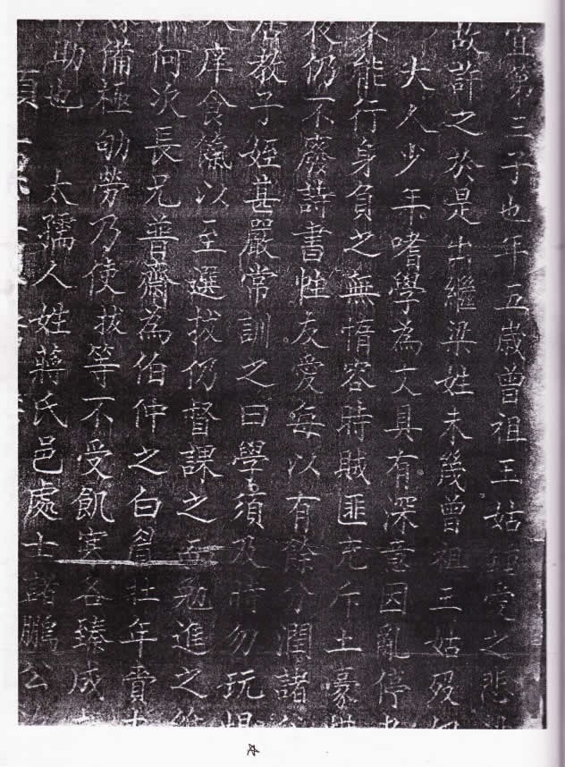 cns_nong_ea6ce2ccaf2916a1ec_3.jpg