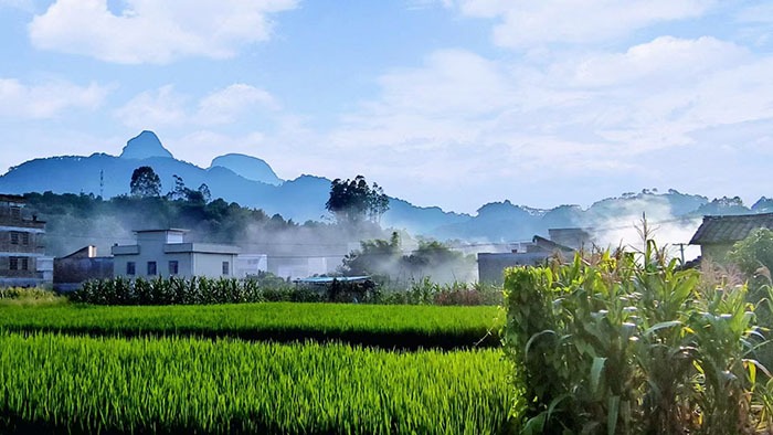 cns_nong_ee56a4d738e3e37b98_1.jpg