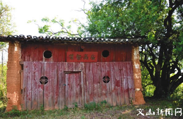 cns_nong_f08b42d816c8e48fe3_0.jpg