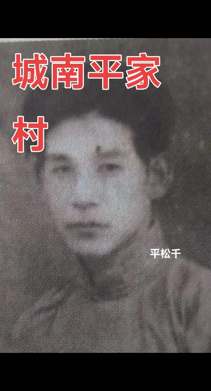 平松千，又名平西苻（人物资料）.png