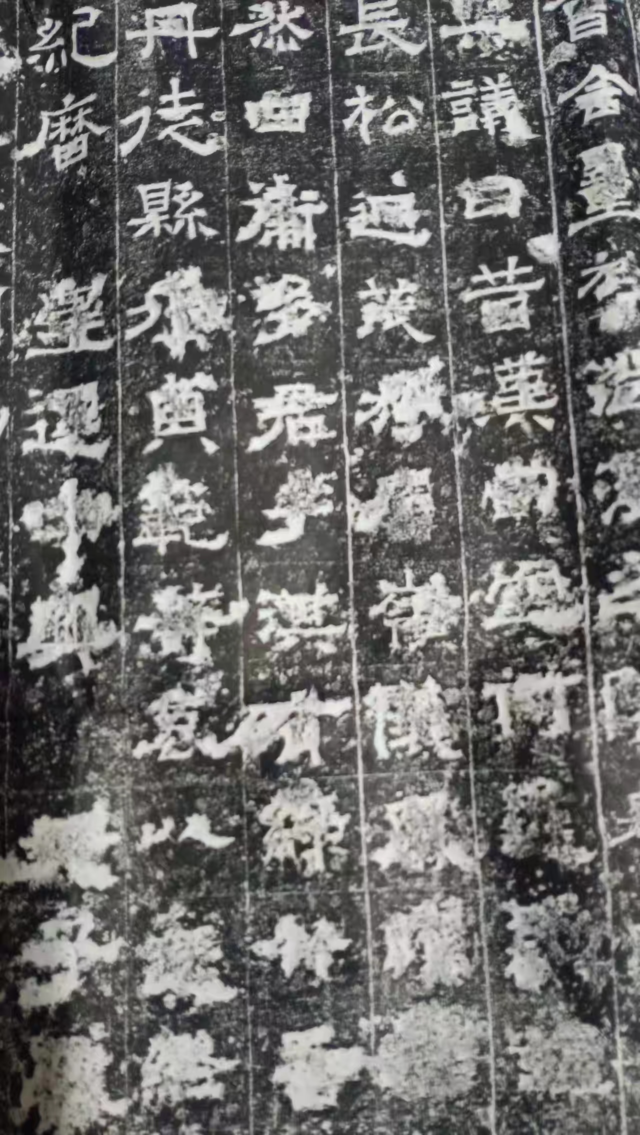 鹤壁大赉店唐代平真客碑凝晖堂拓片（人物资料）.jpg