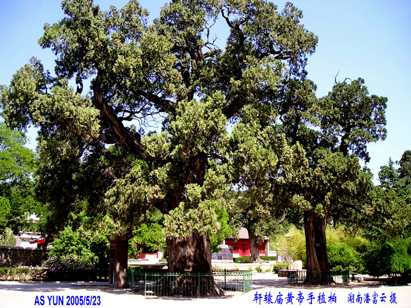 潘富云 黄陵荥阳中牟洛阳开封寻根记（组图）（寻根线索）.jpg