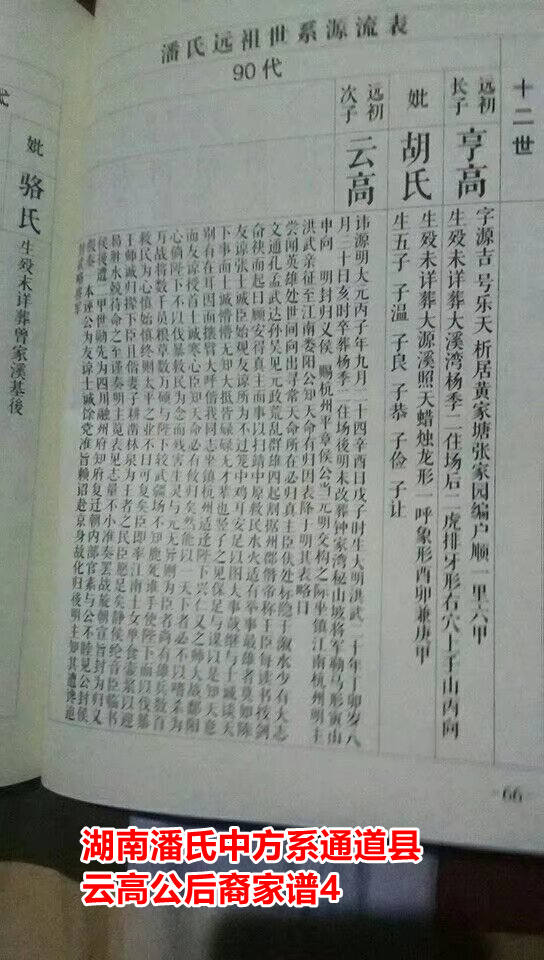江苏籍明初云南平章潘原（元）明与中方谱潘云高或梦奎公次子潘远明辨析（文化资料整理）.png