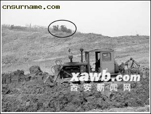 周家山砖厂在杨修墓边取土。