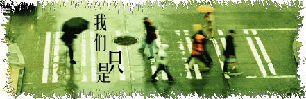 百家姓论坛