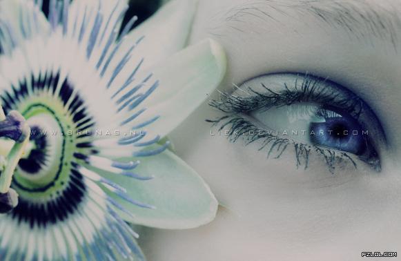 签名&头像&试图专帖