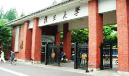 Img242614869.jpg