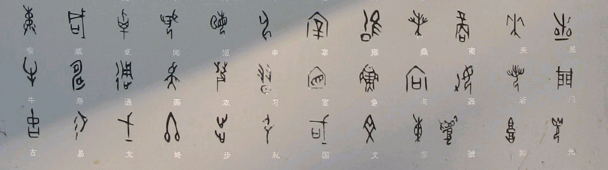 甲骨文姓氏对照表3
