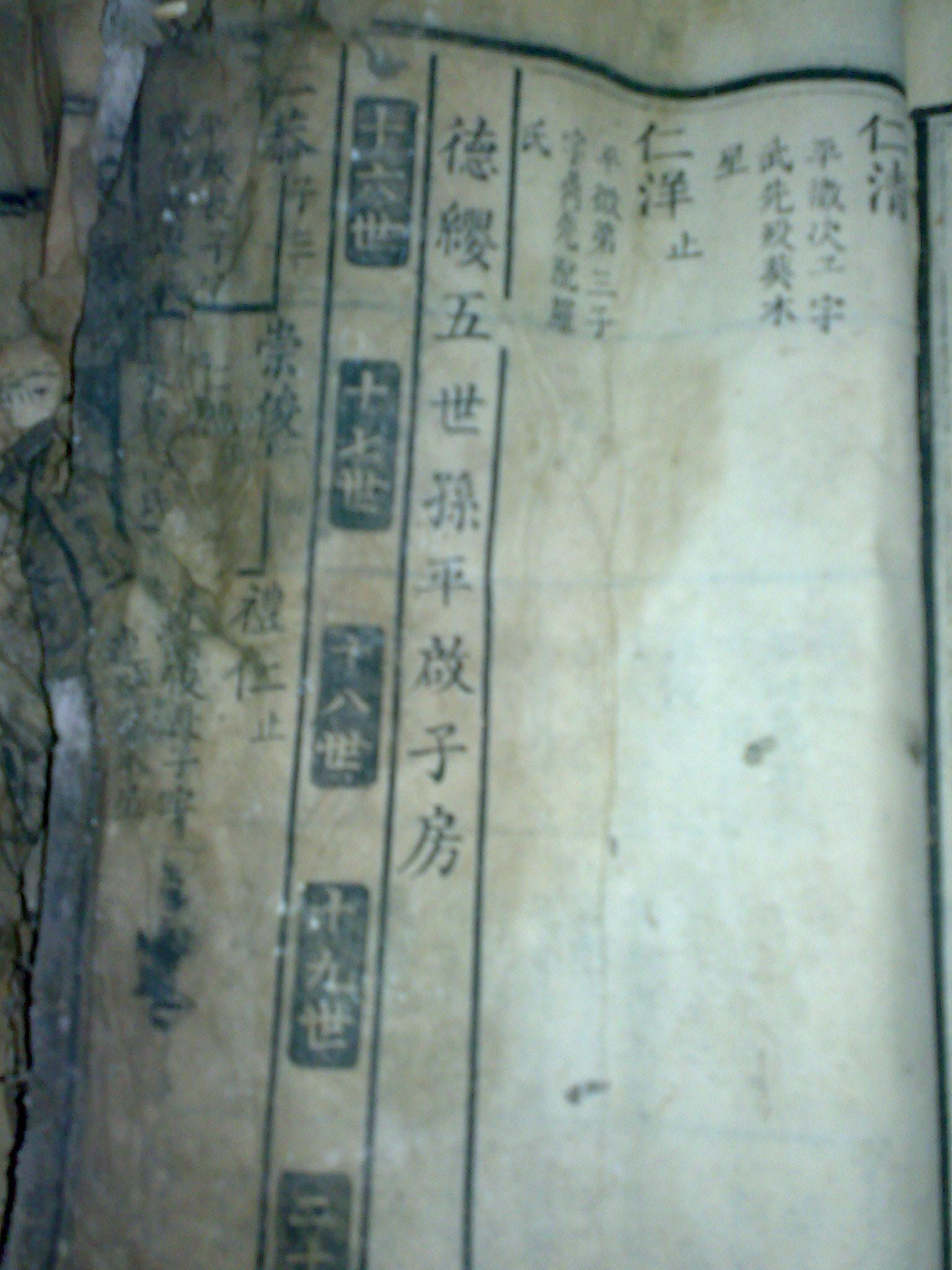 20090125248.jpg