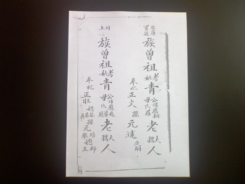 青氏家谱