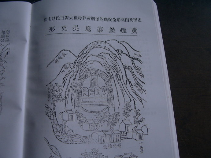 尹氏宗亲