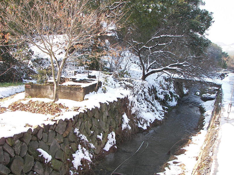 今天，2010年12月17日，生于上海长于上海虹口区安吉里（旧时属日租界）的潜姓第39代孙，苏州大学退休教授潜龙（潜梦星）之子潜启煌，前来壶镇下潜“潜尚书殿”拜揭1100多年前的潜姓始祖——潜佶。
