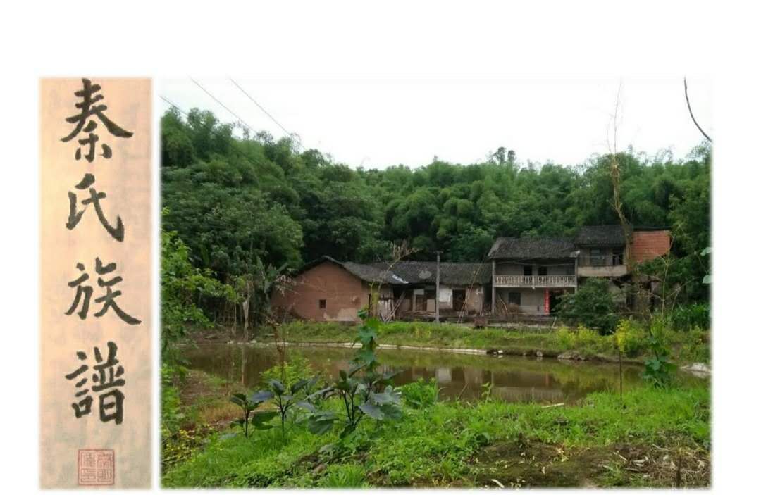 重庆市渝北区石船镇麻柳沱(三坵田)《秦氏族谱》（谱牒资料）.jpg